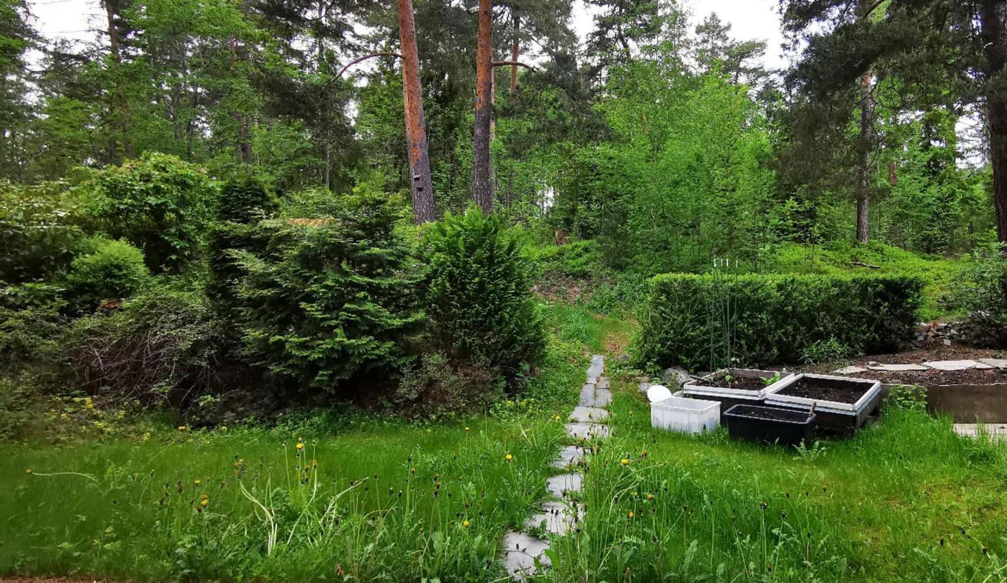 Appartement Holmenkollen Forest House Free Parking à Oslo Extérieur photo